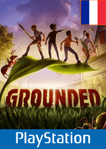 Grounded Standard Edition (France)